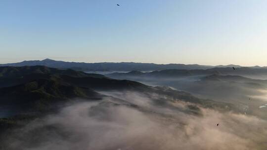 航拍东北山区清晨大雾