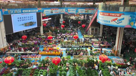 昆明斗南花卉交易市场