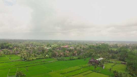 游泳池，场地，酒店，度假村