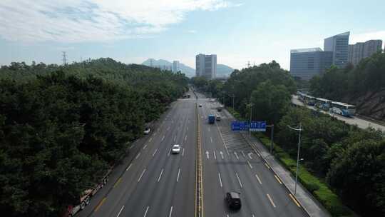 美丽深圳沙河西路城市生态