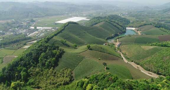 航拍茶园自然风光全景