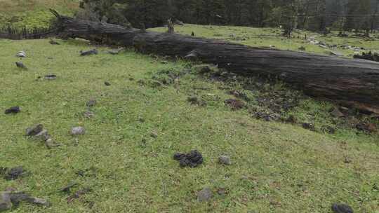 川西沙埋湖水高海拔自然风光视频素材