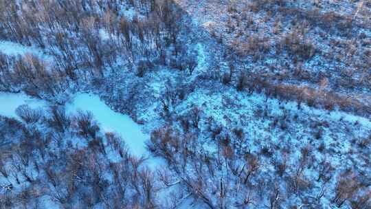 鸟瞰冰雪覆盖的冻土森林湿地