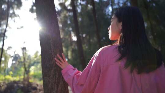 阳光下美女手抚摸树亲近自然感受自然抬头看