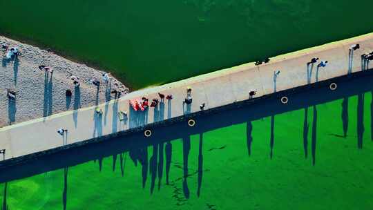 湖泊码头大坝长堤昆明滇池海晏网红码头绿藻视频素材模板下载