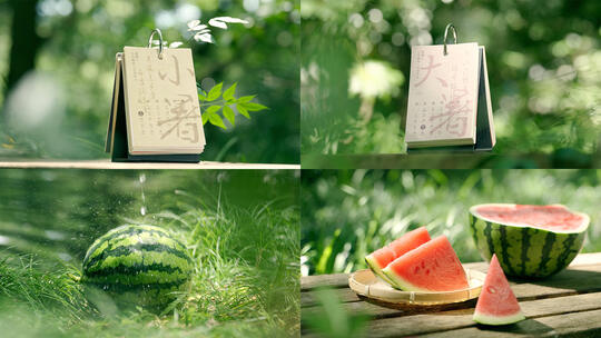 夏天夏日夏季阳光空镜