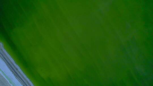 青海格尔木察尔汗盐湖翠绿湖水唯美风光航拍视频素材模板下载