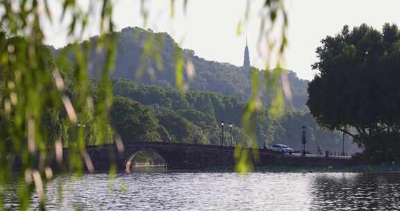 杭州西湖夏天西冷桥风光