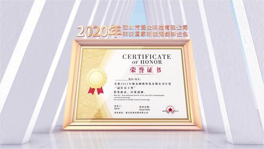 简洁企业荣誉奖牌证书