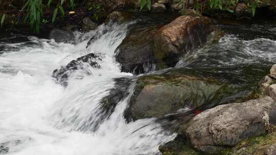 清澈河水河流水源水流溪流溪水