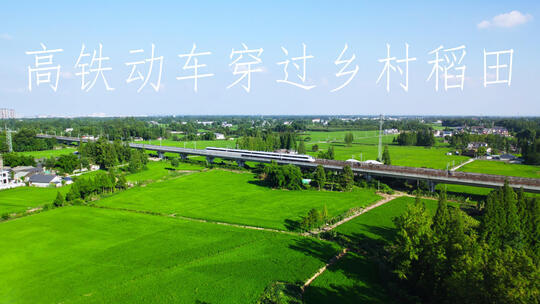 合集高铁动车复兴号和谐号火车穿过乡村稻田