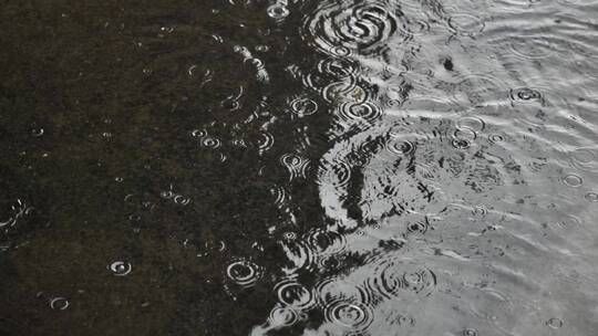 夏天大雨，雨滴慢动作