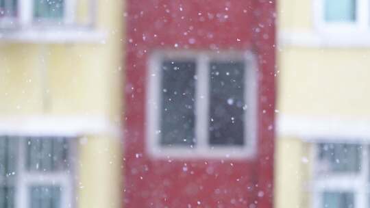 唯美4K下雪雪景视频素材模板下载