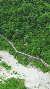 航拍湖北宜昌西陵峡风景竖屏