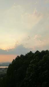 树林上空夕阳云彩景观
