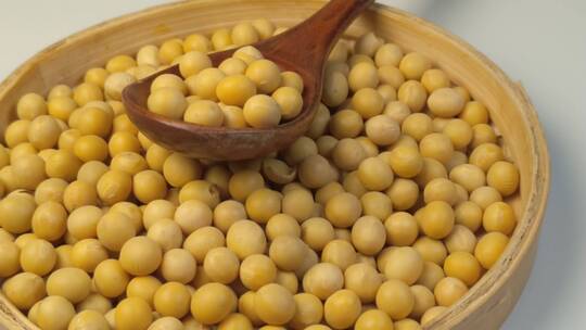 黄豆食品健康有机农产品