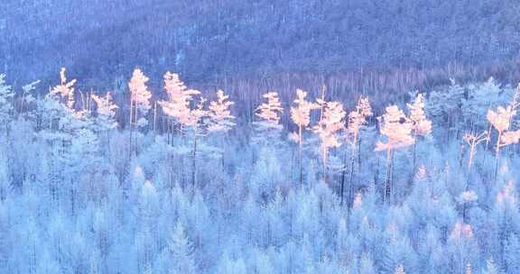 航拍大兴安岭冰雪雾凇