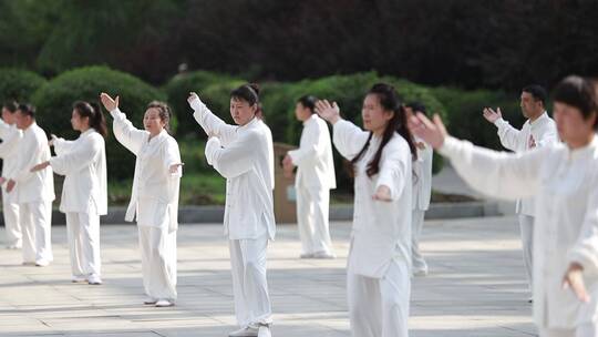 公园清晨打太极拳的人们