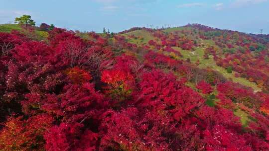 吉林四方山枫叶谷秋天风景