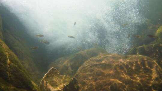 河边小溪河底海底水下世界流水岩石光影升格