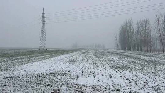 冬天的白雪视频