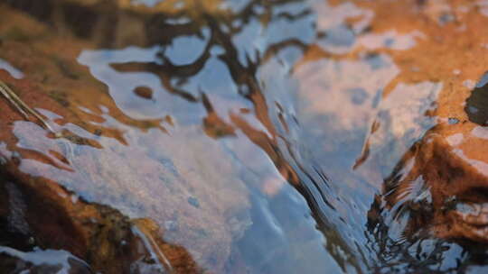 流水 小溪 生命源泉 流动的水 慢放 清水