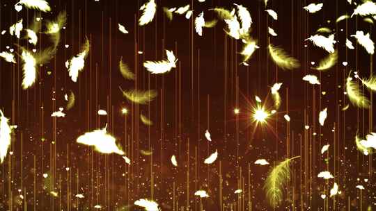 《羽毛》舞蹈背景视频