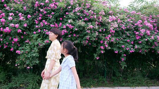 在盛开的蔷薇花丛中的亚裔母女