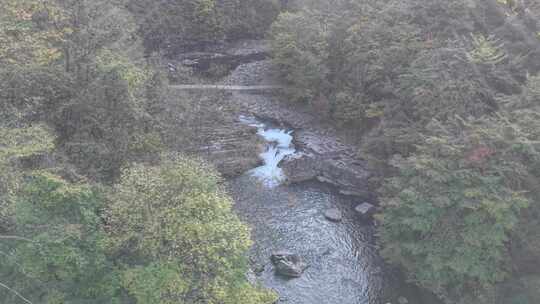 4K航拍重庆黎坪森林风景区