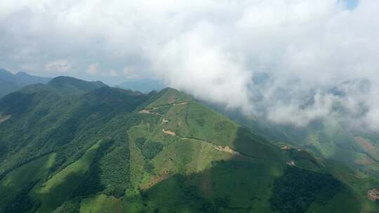 安化黑茶 茶山