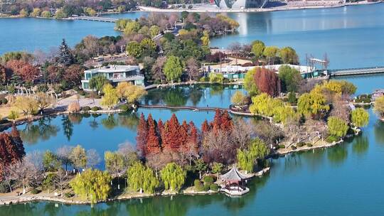 航拍深秋初冬徐州云龙湖风景区,红色水杉