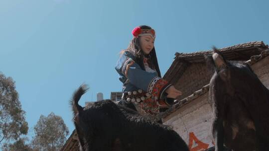 牧羊女升格视频云南楚雄彝族少女山羊养殖