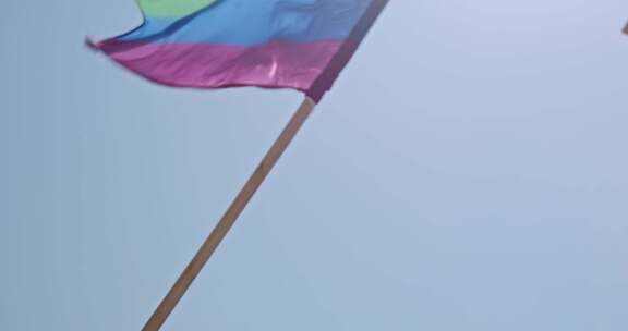 同性恋骄傲，双性恋，旗帜，庆祝