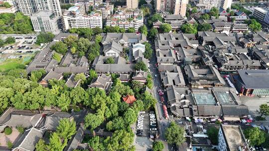 俯拍城市大道绿化植物车辆行驶