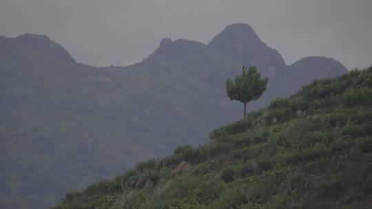 山水风景