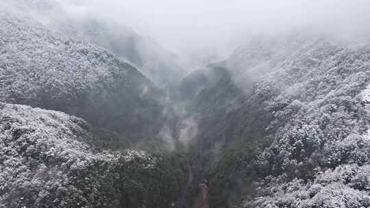 山间雪景雾霭弥漫景象 浙西大峡谷