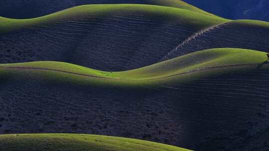 新疆北疆伊犁喀纳峻人体大草原高空航拍