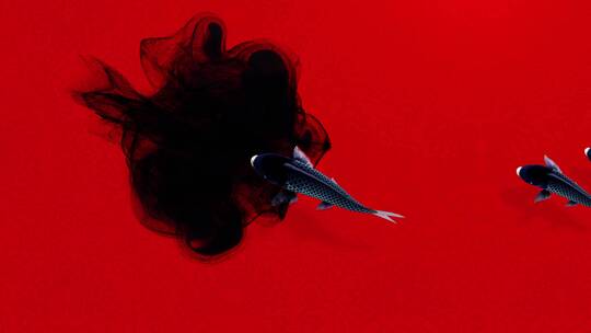 4K锦鲤鱼穿越水墨特效素材