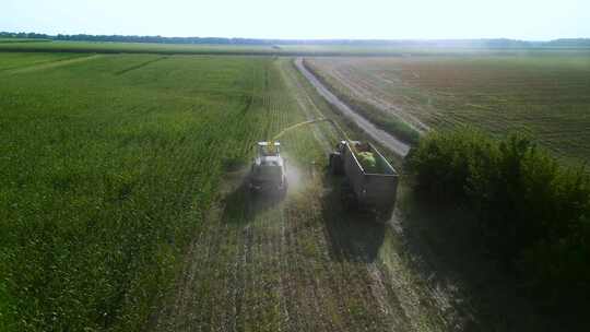 乌克兰绿色联合收割机切割玉米作为青贮饲料视频素材模板下载