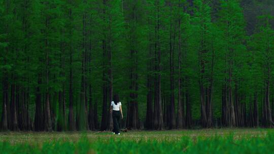 文艺忧伤孤独女孩在树林行走4k视频素材