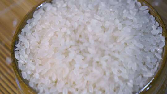 大米 水稻 白米