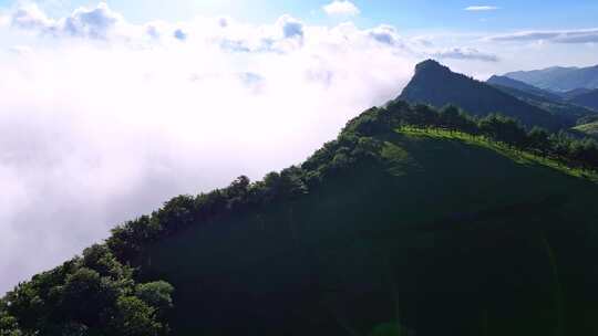 航拍高山森林云海云雾