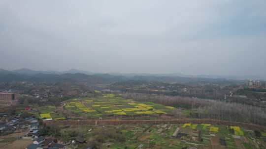 美丽乡村农业种植油菜花农田航拍视频素材模板下载