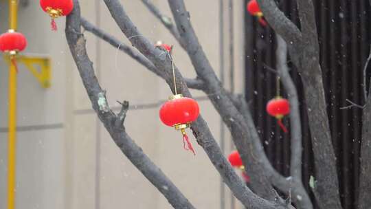 风雪中的小灯笼视频素材模板下载