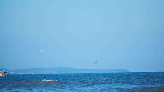 香山湾海鸟海鸥海浪海岛大海漳州月光沙滩