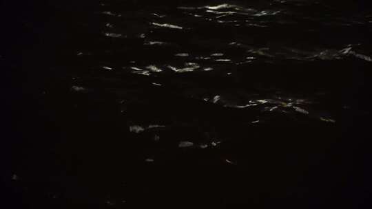 夜晚水面波光粼粼夜景海面月光湖面灯光水纹视频素材模板下载