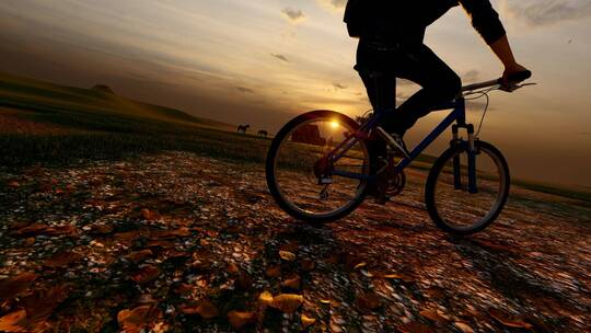 自行车 骑自行车 公路 越野 街头 运动视频素材模板下载