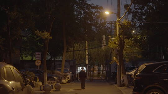 路灯 夜晚空镜 道路夜景视频素材模板下载