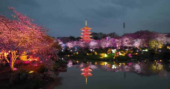 航拍武汉东湖樱花园夜景灯光秀樱花夜樱