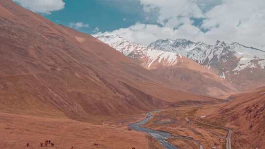 山，雪，白雪覆盖，丘陵